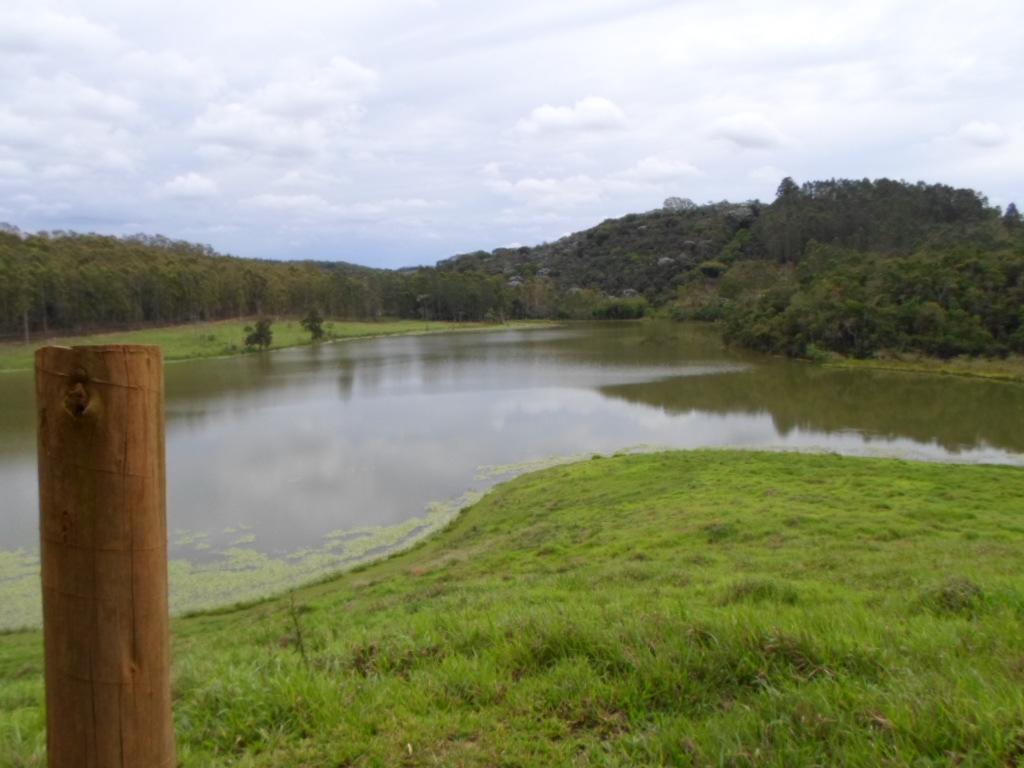 Registro de Marca Visconde do Rio Branco