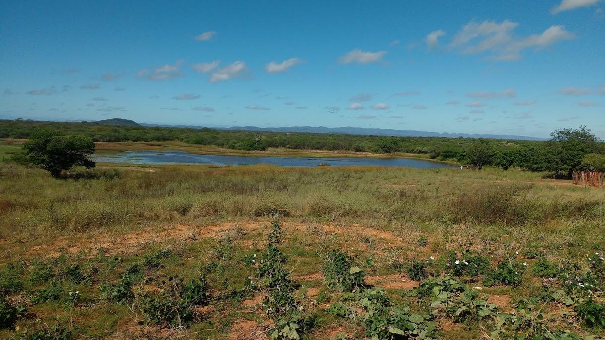 Registro de Marca Vista Serrana