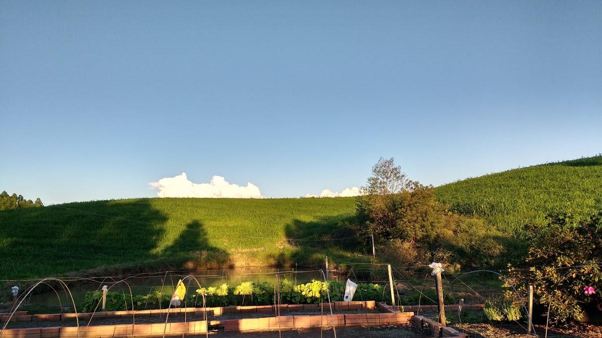 Registro de Marca Vitor Meireles