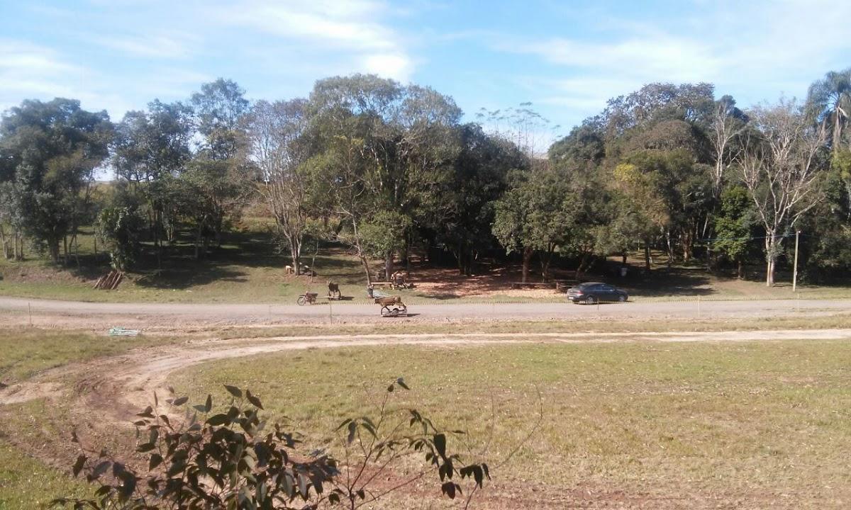 Registro de Marca Witmarsum