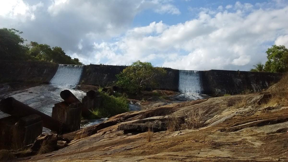 Registro de Marca Xexéu