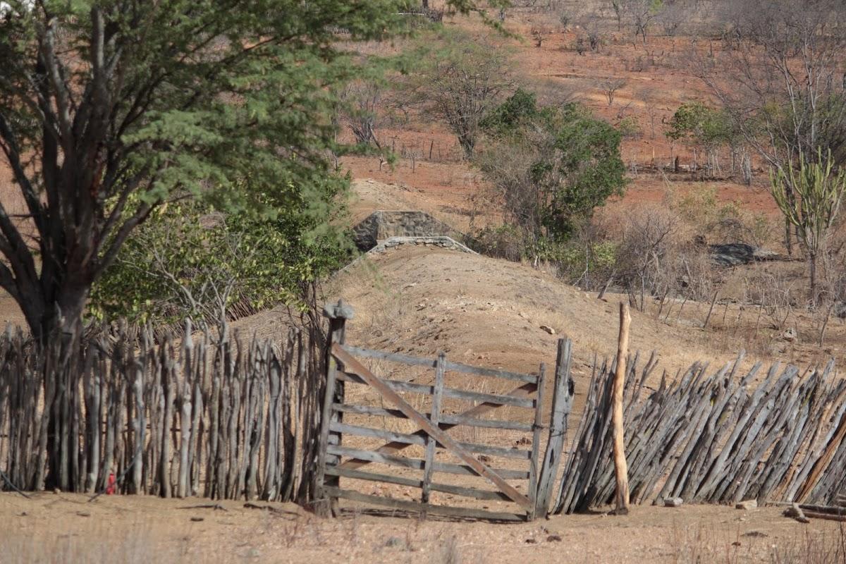 Registro de Marca Zabelê